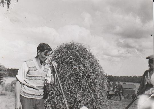 Harry Wessman